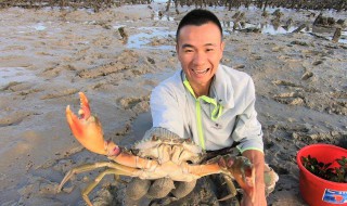 怎么抓螃蟹 教你几个方法