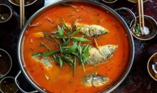 如何做酸汤鱼火锅 酸汤鱼火锅的做法