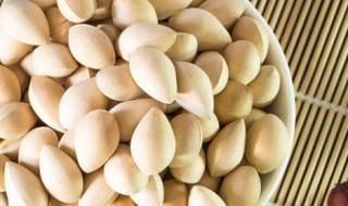 白果保存方法 存放的方法介绍