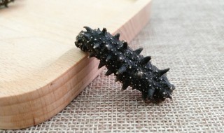 焖海参的方法 怎么做焖海参