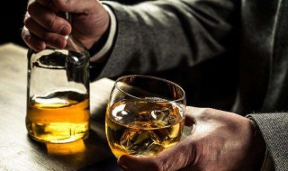 苏打酒制作方法 苏打酒制作方法教学