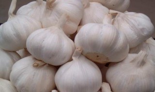 干大蒜的保存方法 干大蒜的保存方法简述