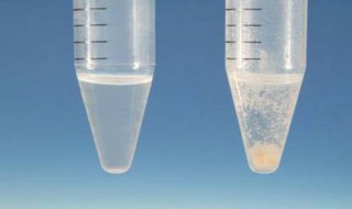 沉淀是什么意思 沉淀的意思