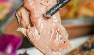 如何做金枪鱼头好吃不腥 做金枪鱼头的方法