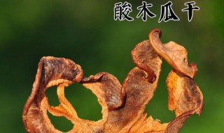 如何做云南酸木瓜干 云南酸木瓜干的功效作用