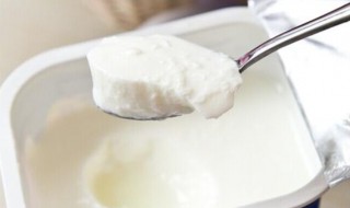 香滑老酸奶如何做 香滑老酸奶的做法