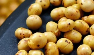 炒熟的黄豆怎么保存 黄豆炒熟后怎么保存