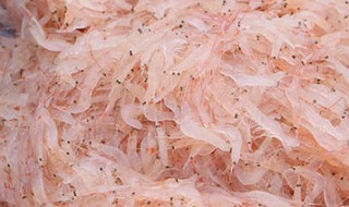 干虾米没冰箱怎么保存 常温下怎样保存虾米