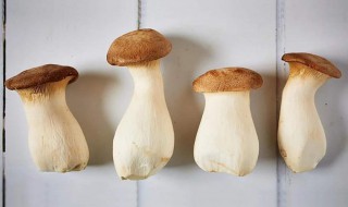 买回杏鲍菇怎么保存 杏鲍菇可以保存多久