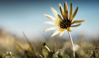 治愈短句干净 朋友圈干净治愈的小句子