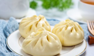 做肉包的方法 肉包的做法