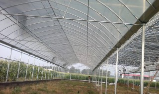 大棚盖薄膜方法 大棚如何盖薄膜