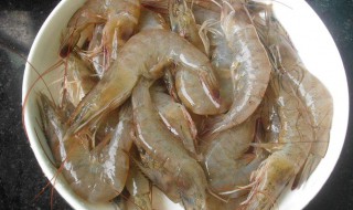大的活虾保存方法 可以用什么工具呢