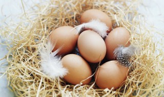 鸡蛋表面消毒方法 种蛋怎样消毒最好