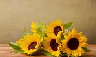 简短暖心的句子 简短暖心的句子有哪些