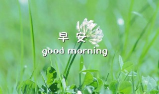 最美早安短句集锦 早安短句推荐