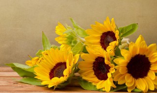 发朋友圈励志 适合发朋友圈的励志句子