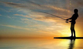 软竿抛竿最佳方法 软竿抛竿最佳方法是什么
