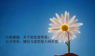 一句早安的心情说说 一句早安的心情说说分享