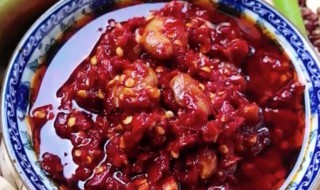 烧肉辣酱制作方法 烧肉辣酱制作方法分享