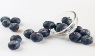 蓝莓生根的方法 蓝莓生根的方法介绍