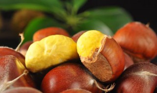 油板栗怎么保存方法 油板栗保存方法