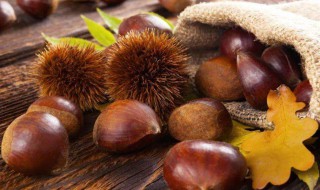 新收的栗子怎么保存 新鲜栗子保存方法