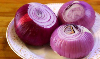 洋葱的扦插方法 洋葱怎么扦插