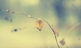 短句干净正能量 干净正能量短句集锦