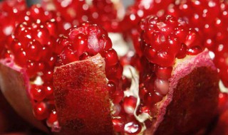 石榴籽催芽的方法 石榴籽催芽的方法是什么