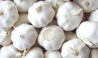 蒜头的保养方法 蒜头的保养方法有什么