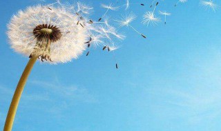 有纪念意义的日子说说 有纪念意义的日子说说列述