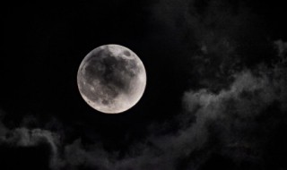 深夜感悟说说心情短语 学会思索学会等待