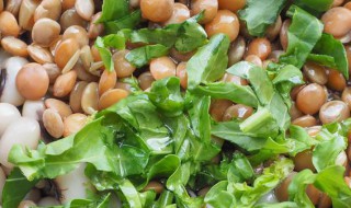 怎样做豆类沙拉 做沙拉的步骤