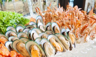 扇贝怎么保存不会死 扇贝应该如何保存