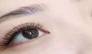 怎么取隐形眼镜 取隐形眼镜的方法