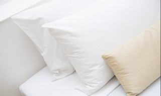 枕芯怎么洗 如何清洗枕芯