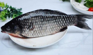 如何做鲫鱼打窝料 钓鲫打窝料怎么做