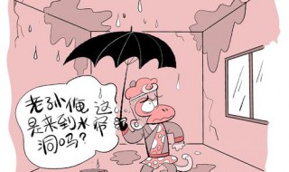 外墙漏水怎么解决 外墙漏水如何解决