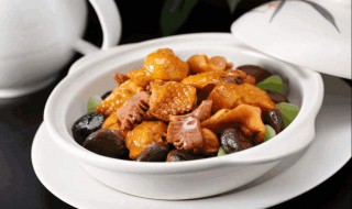 炖鸡块家常做法 炖鸡块的家常做法与步骤