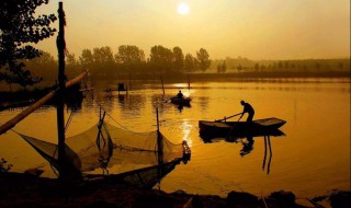 关于浓浓故乡情的句子 关于浓浓故乡情的句子有哪些