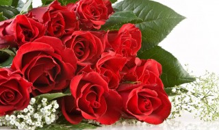 给病人的祝福语 给病人的祝福语推荐