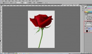 怎样把照片背景换成白色 把照片背景换成白色方法介绍