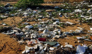 如何处理数量庞大的垃圾 处理数量庞大的垃圾方法