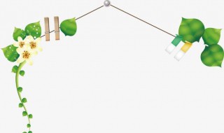 花藤字昵称大全 花藤字体网名推荐