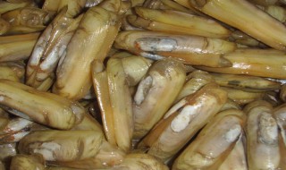 蛏子干怎么处理沙 蛏子干处理方法