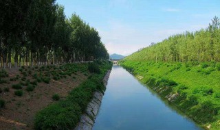 净化水渠怎么做 一种能净化水质的水渠的制作方法