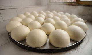 茶叶馒头制作方法 茶叶馒头制作方法介绍