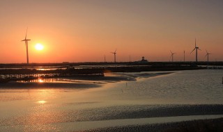 鱼塘施肥最好方法 鱼塘施肥最好方法是什么