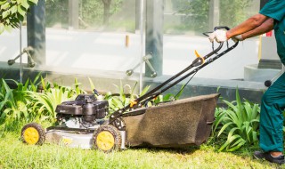 高效除草方法 这三种方法最常用